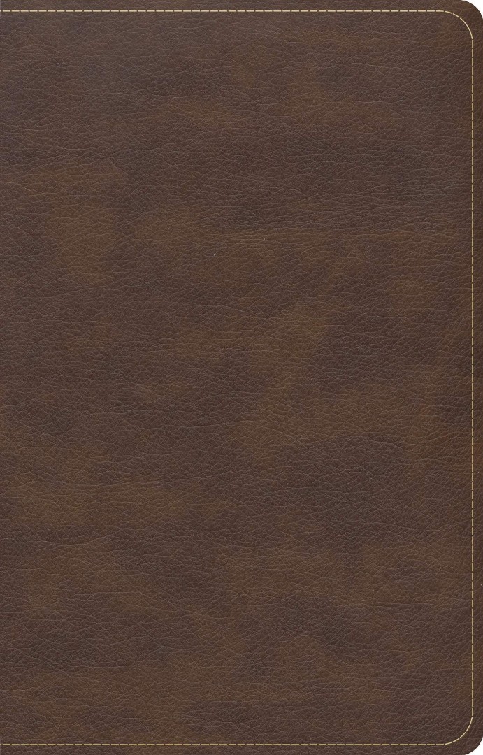 CSB Single-Column Compact Bible, Brown