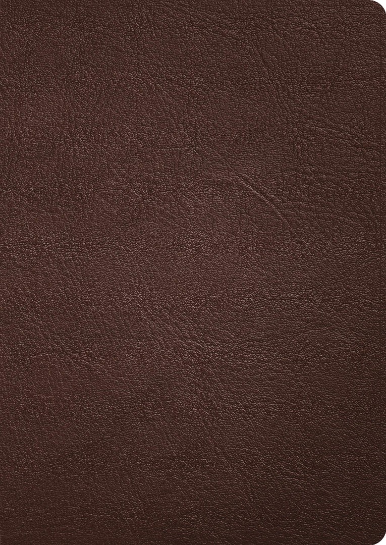 CSB Verse-by-Verse Reference Bible, Handcrafted Collection