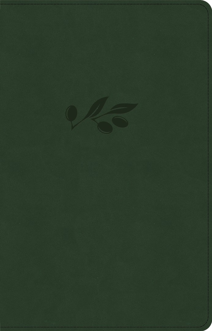 NASB Large Print Personal Size Reference Bible, Olive
