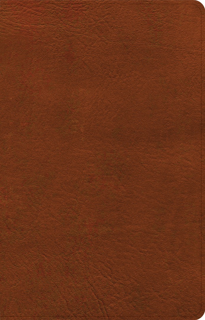 NASB Large Print Personal Size Reference Bible, Burnt Sienna