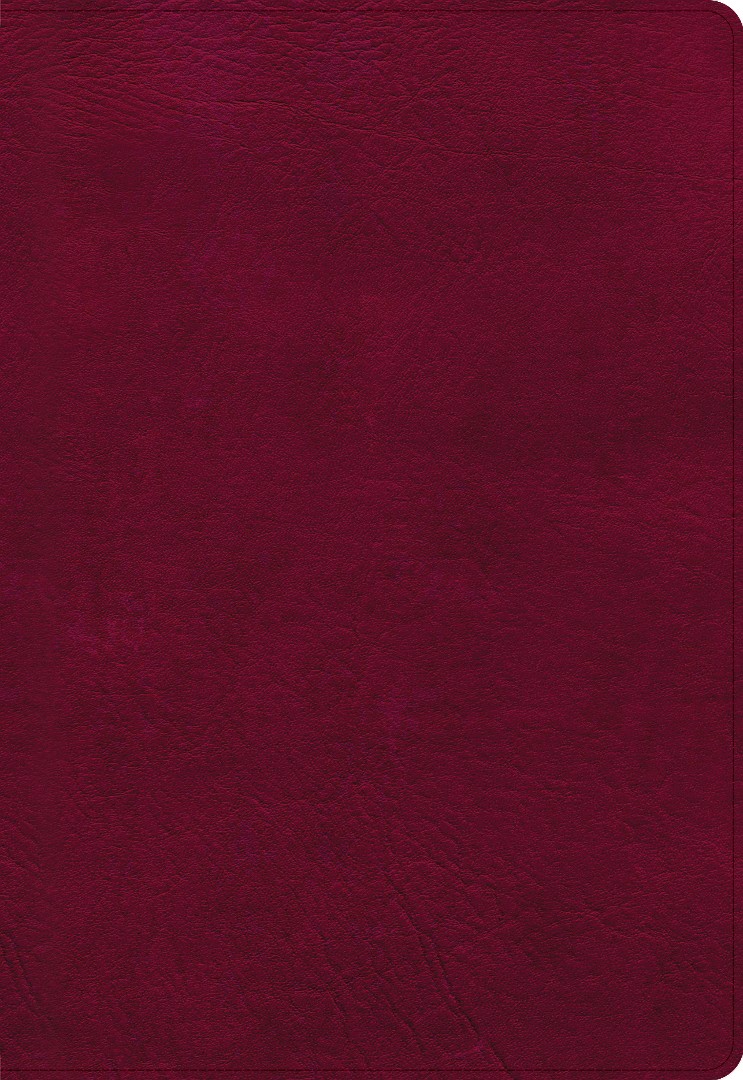 NASB Super Giant Print Reference Bible, Burgundy