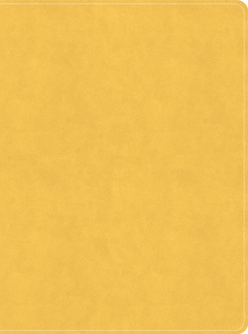 CSB Lifeway Women's Bible, Marigold LeatherTouch