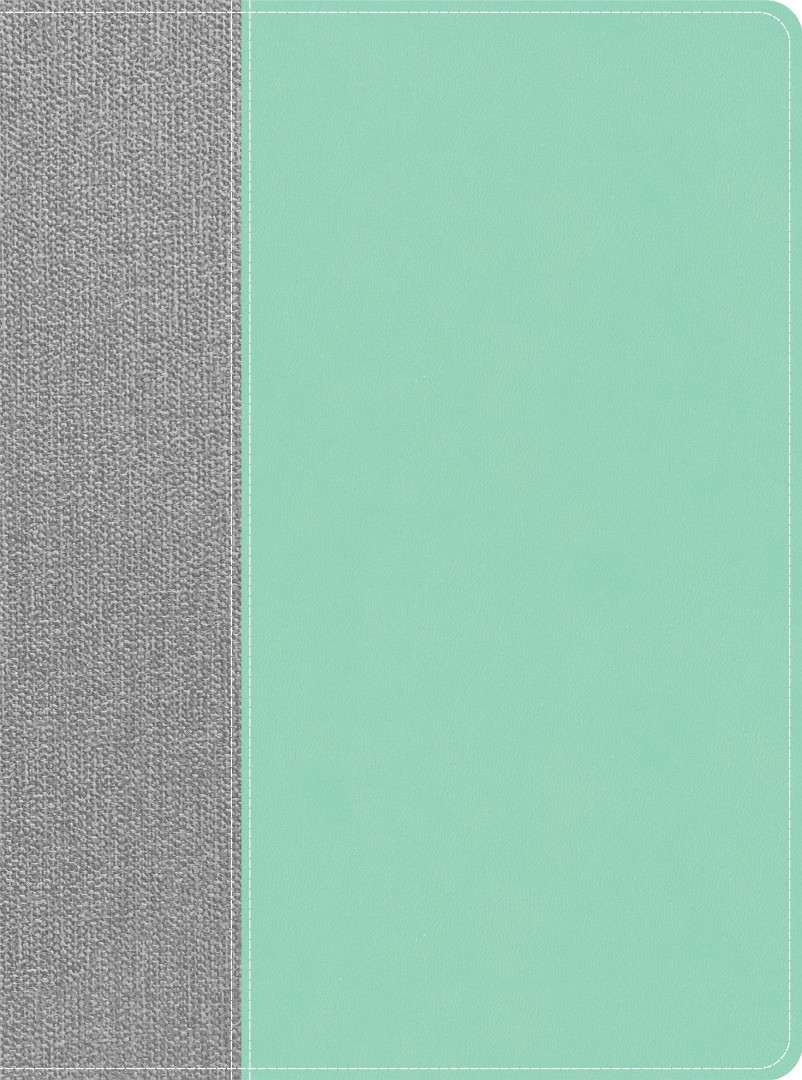 CSB Lifeway Women's Bible, Gray/Mint LeatherTouch