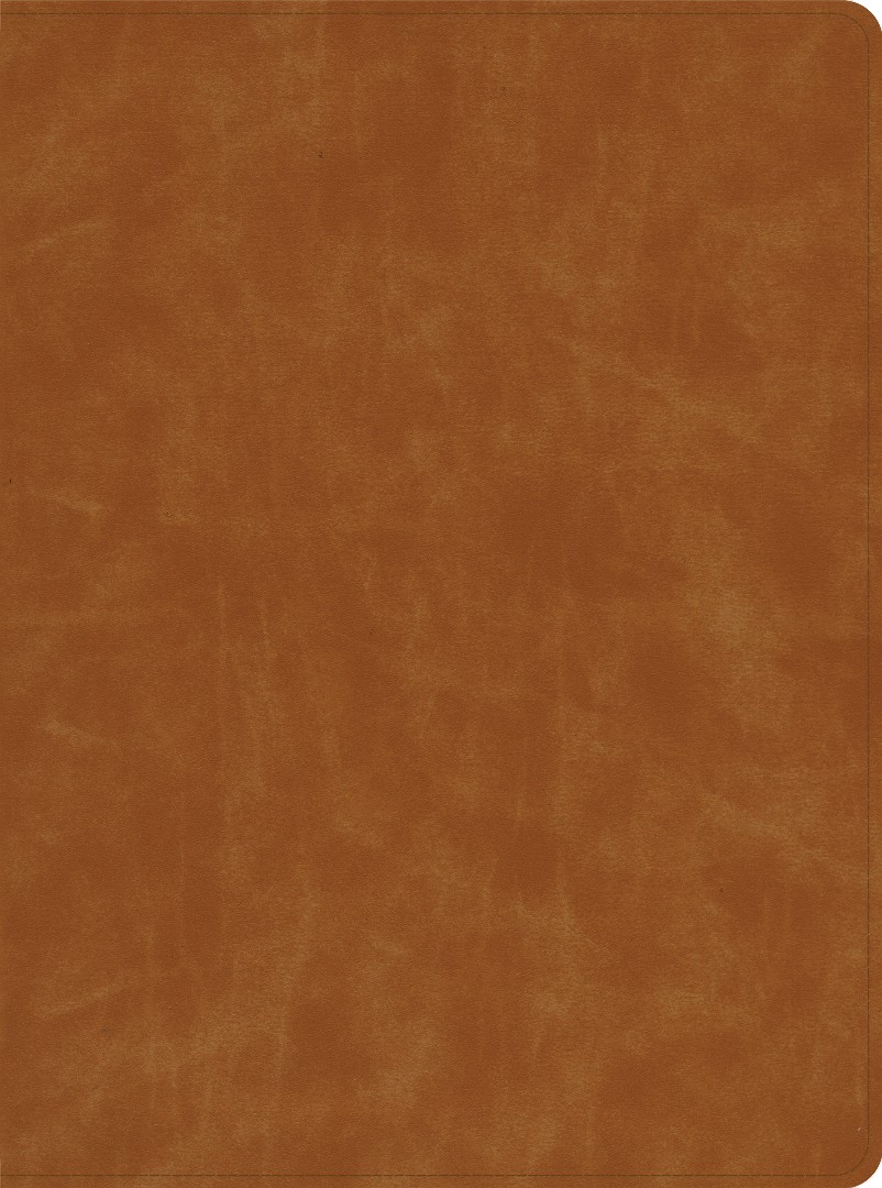 CSB Lifeway Women's Bible, Butterscotch Genuine Leather, Ind