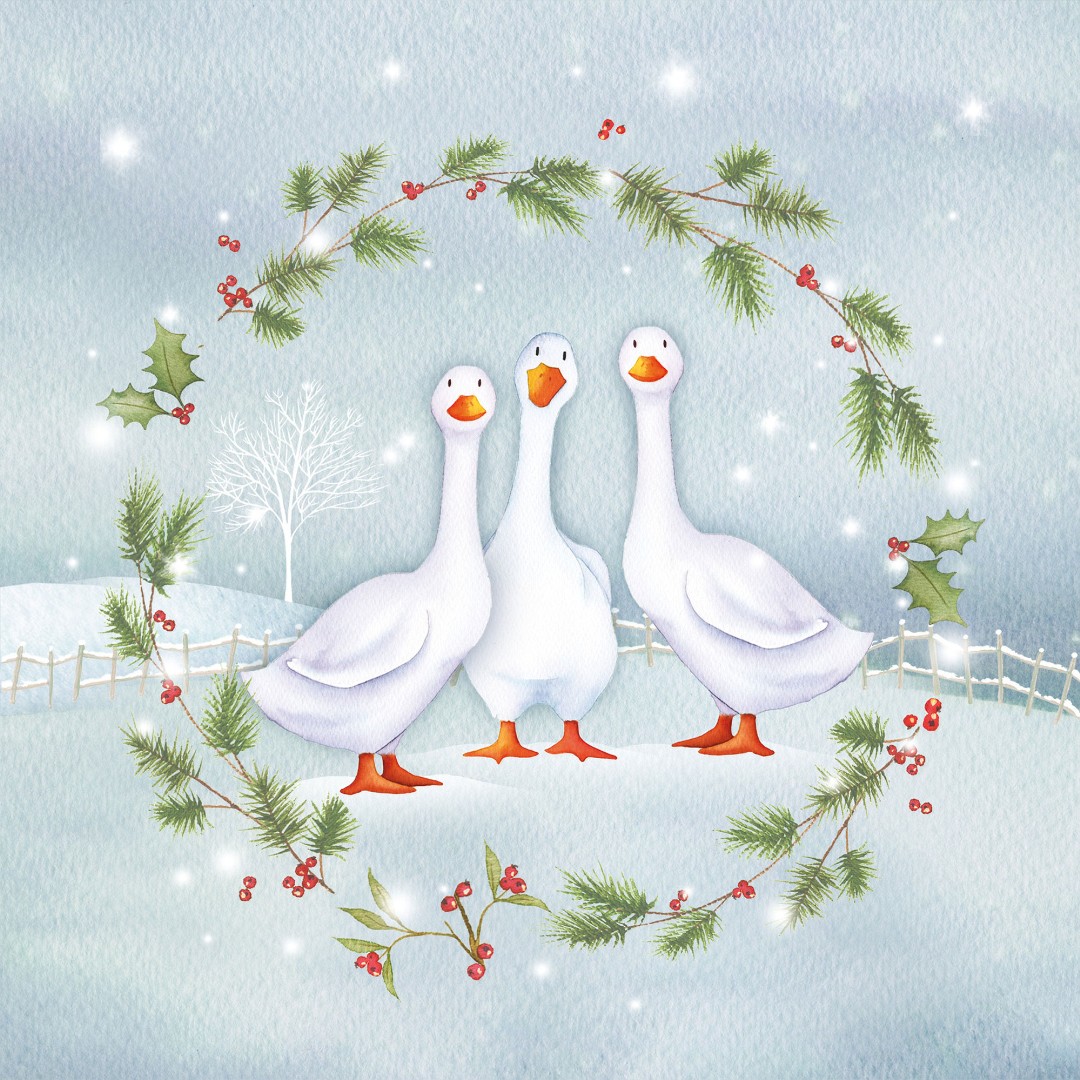 Christmas Geese -  Christmas Cards (pack of 10)