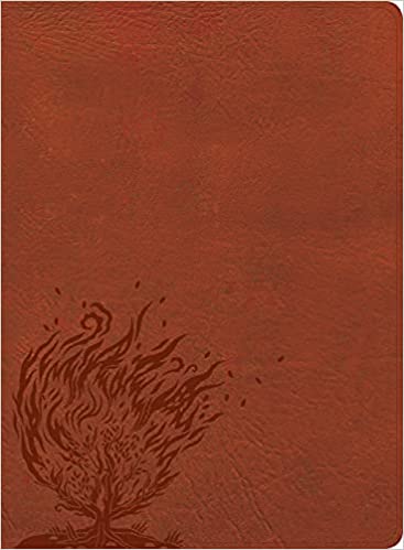 CSB Experiencing God Bible, Burnt Sienna LeatherTouch