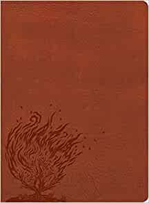 CSB Experiencing God Bible, Burnt Sienna, Indexed