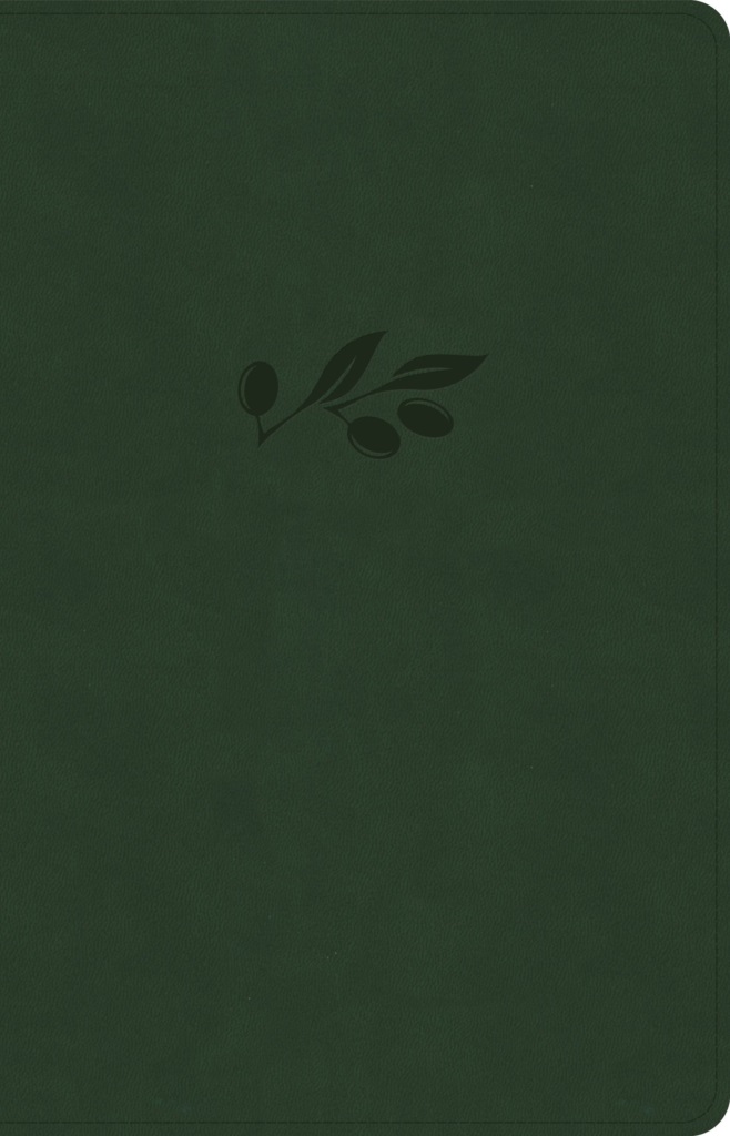 CSB Thinline Reference Bible, Olive LeatherTouch