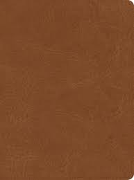 CSB He Reads Truth Bible, Saddle LeatherTouch