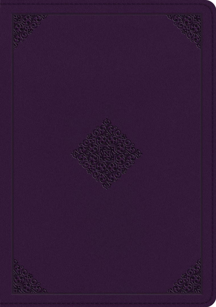 ESV Single Column Journaling Bible, Large Print (Cover A)