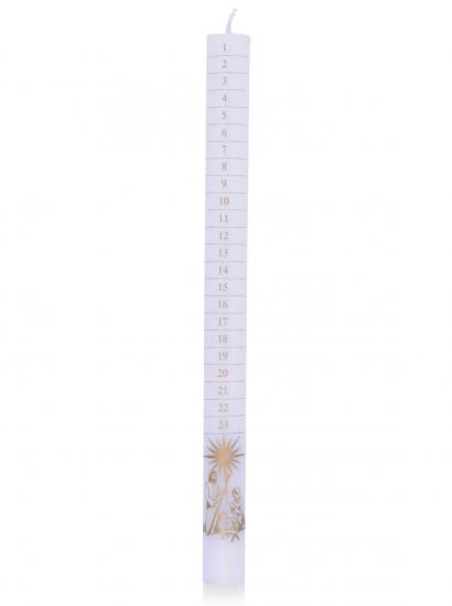 Numbered Advent Candle 12"x7/8" White/Nativity (Individual)