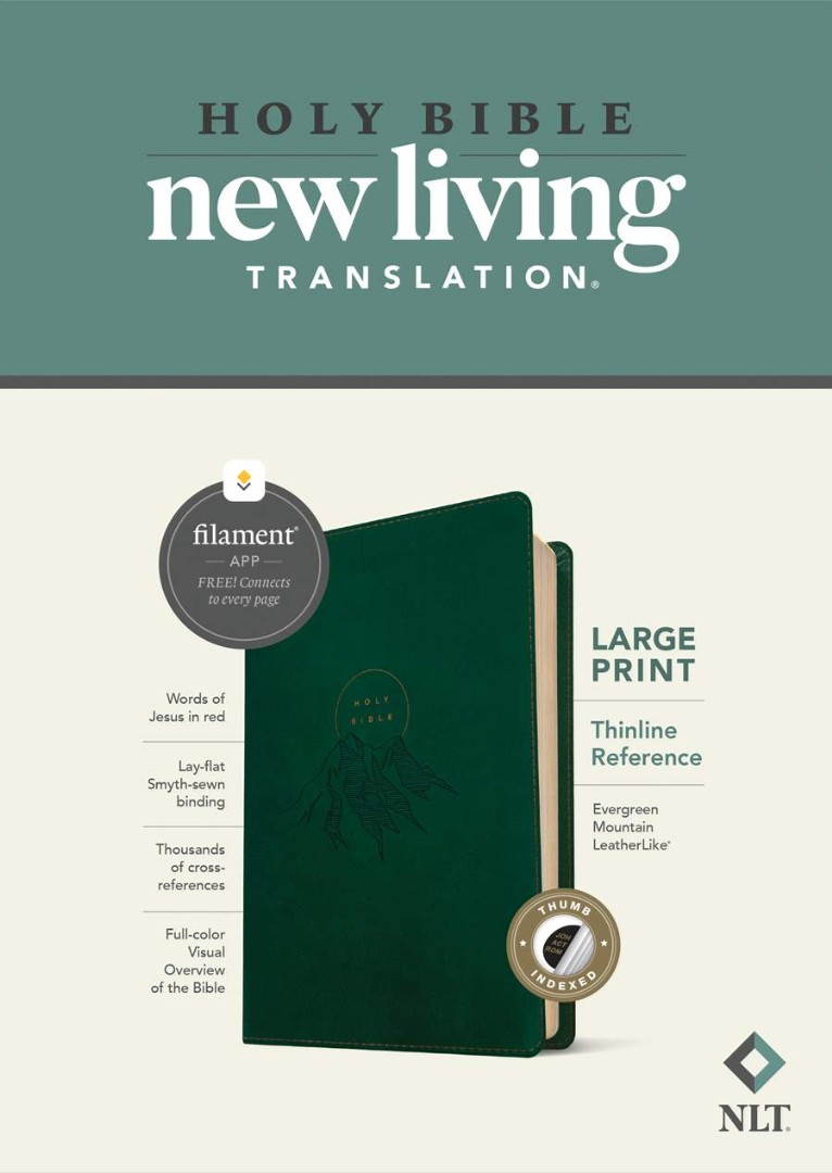 NLT Large Print Thinline Reference Bible, Filament Edition