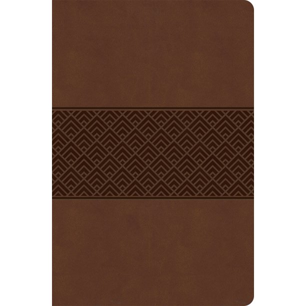 CSB Everyday Study Bible, Brown Burnished, Global