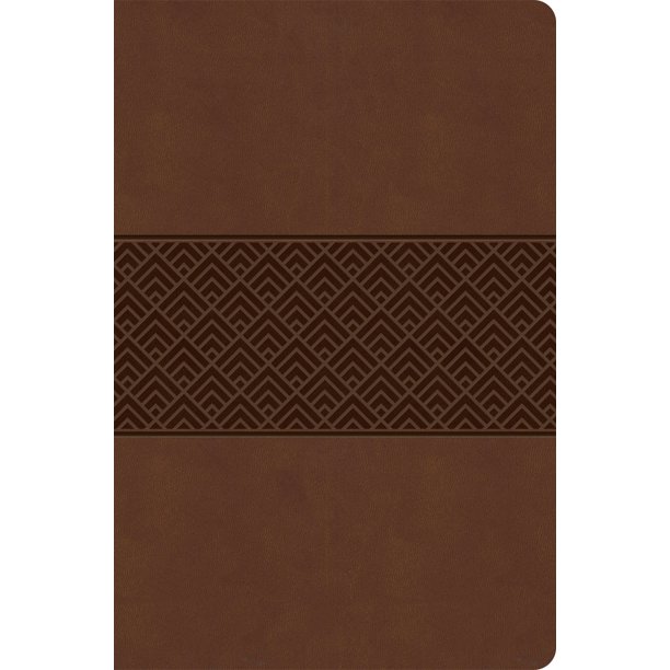 CSB Everyday Study Bible, Brown Burnished, Global