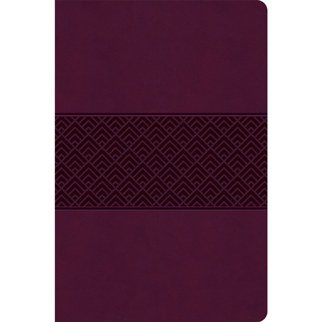 CSB Everyday Study Bible, Wine Burnish, Global