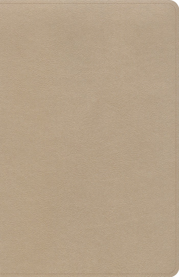 KJV Thinline Bible, Gold LeatherTouch