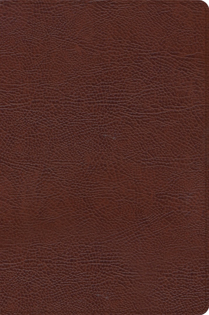 CSB Large Print Thinline Bible, Brown Bonded Leather