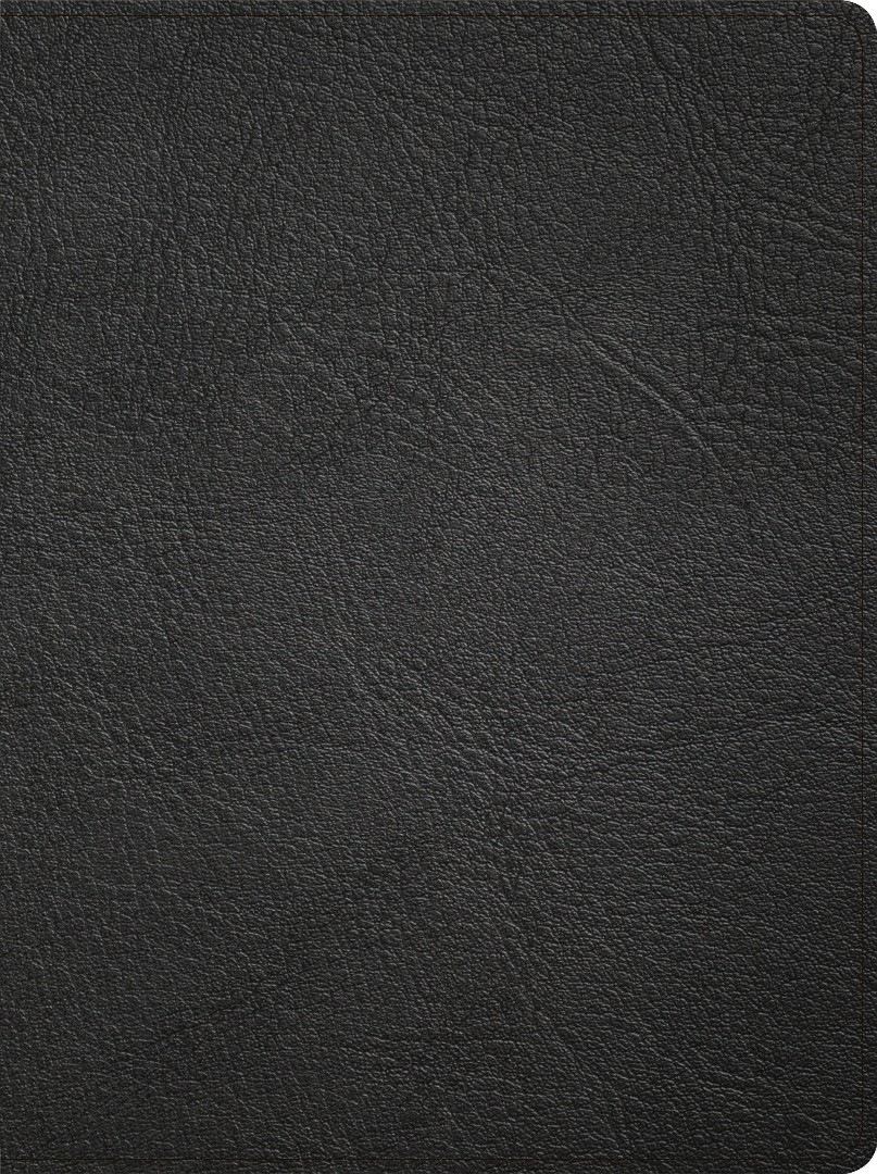 CSB Life Counsel Bible, Genuine Leather, Indexed