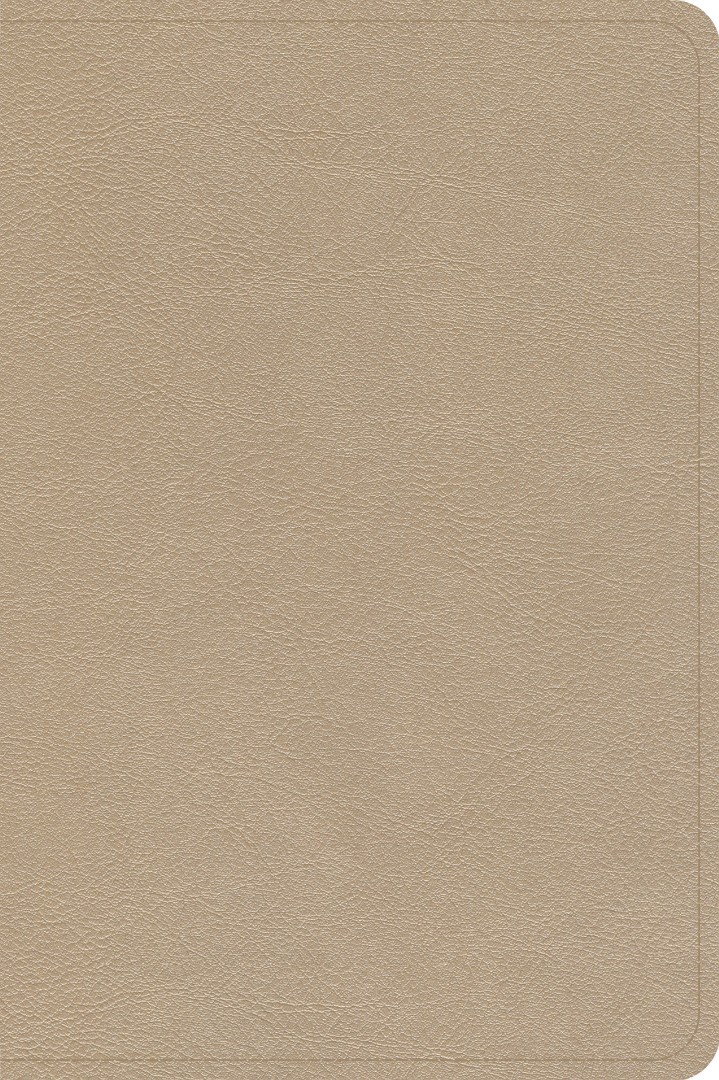 CSB Large Print Compact Reference Bible, Gold Leathertouch