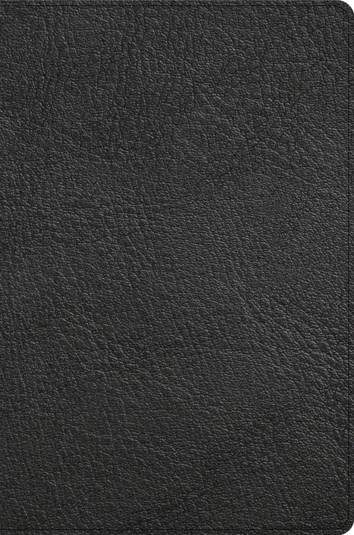 CSB Giant Print Reference Bible, Black, Indexed