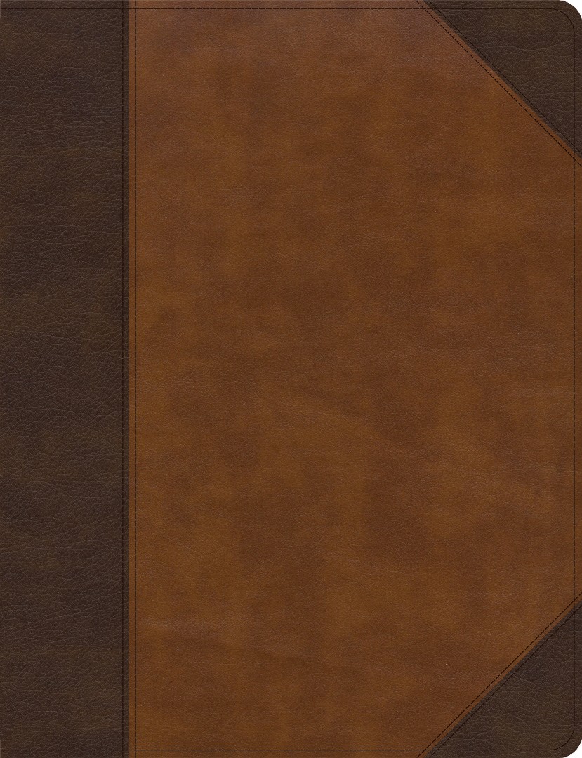 CSB Notetaking Bible, Large Print Edition, Brown/Tan