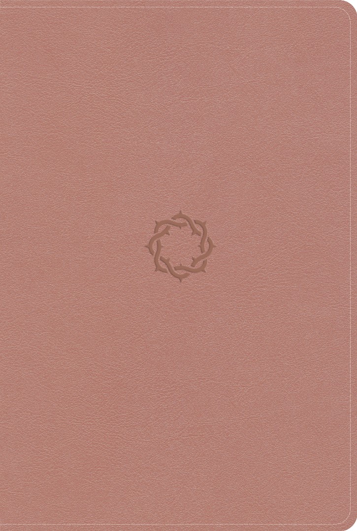 KJV Essential Teen Study Bible, Rose Gold, Indexed