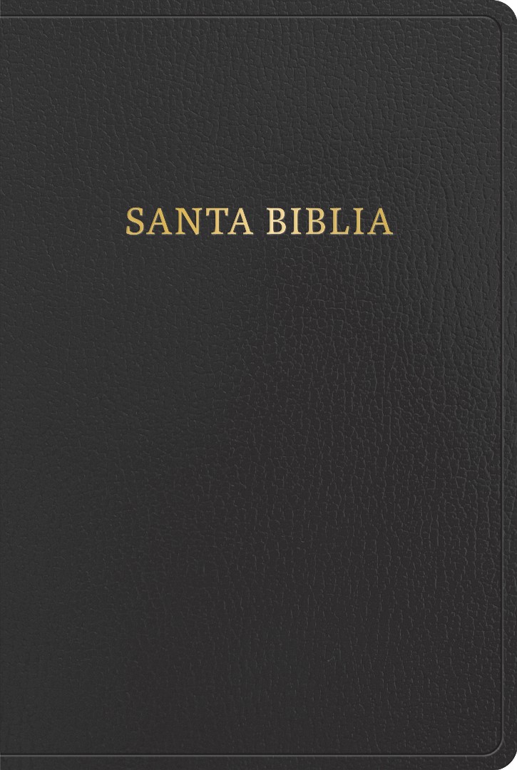 RVR 1960 Biblia Letra Gigante, Negro, Imitación Piel
