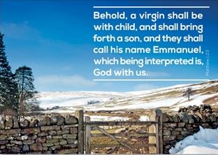Behold, a Virgin Shall be With Child - Greeting Cards