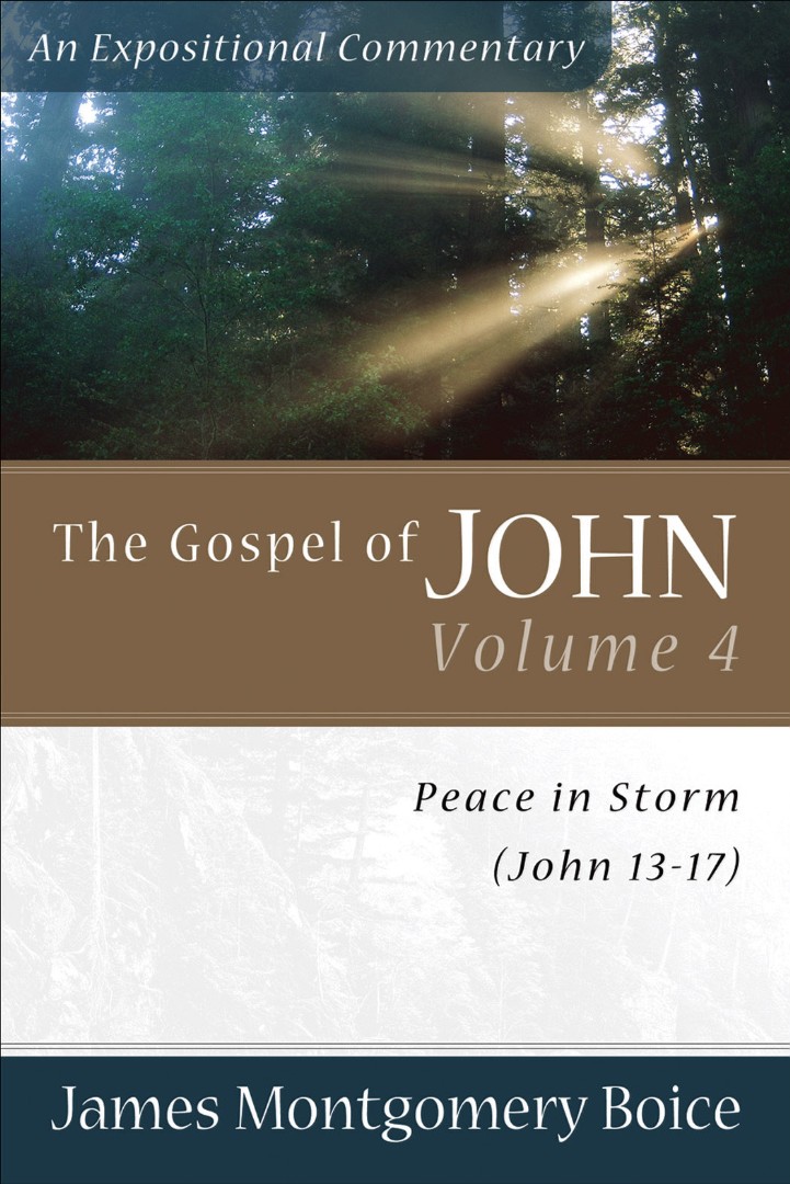 Gospel Of John, The: Volume 4