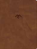CSB Men Of Character Bible, Revised And Updated, Brown