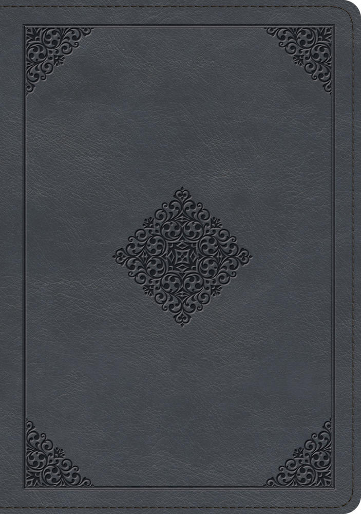 ESV Large Print Wide Margin Bible (Trutone, Slate Blue)