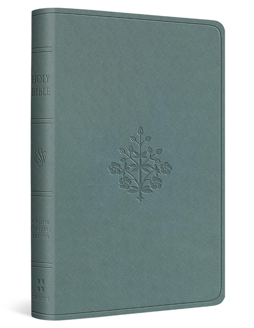 ESV Value Compact Bible (Trutone, Paris Sky, Branch Design)