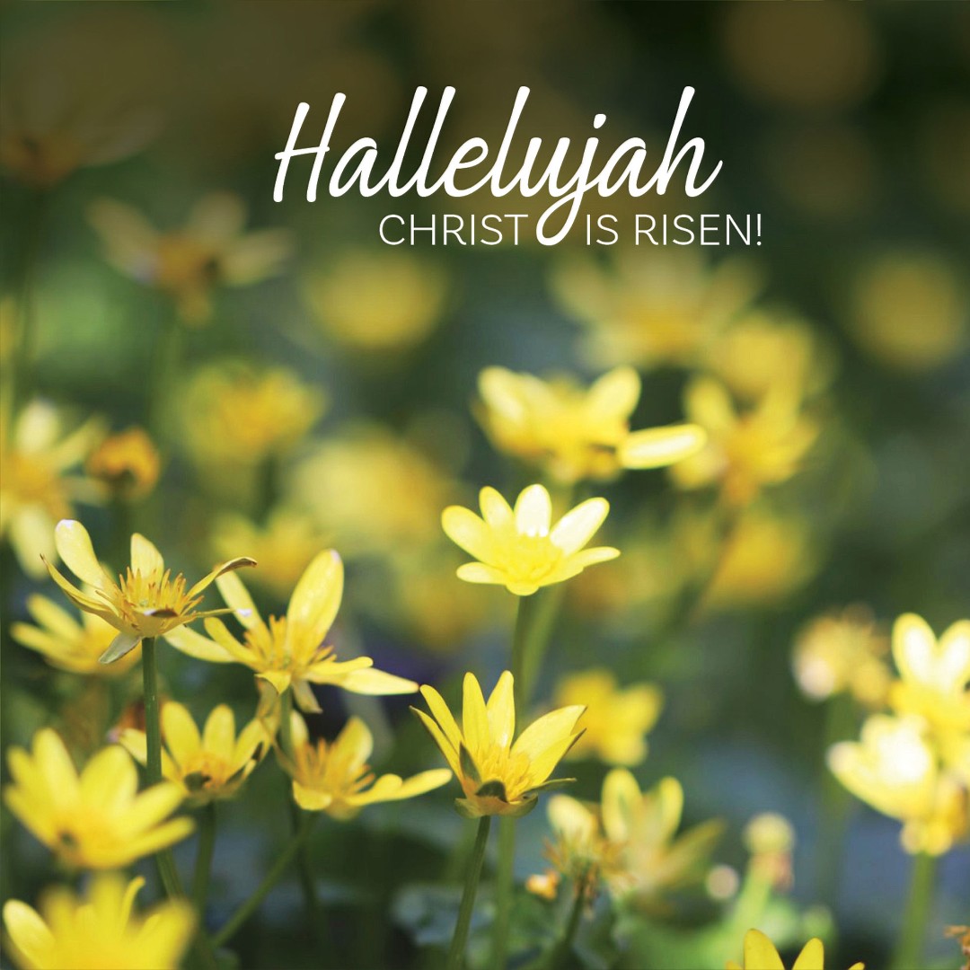 Hallelujah Flowers Easter Cards (Pack of 5)