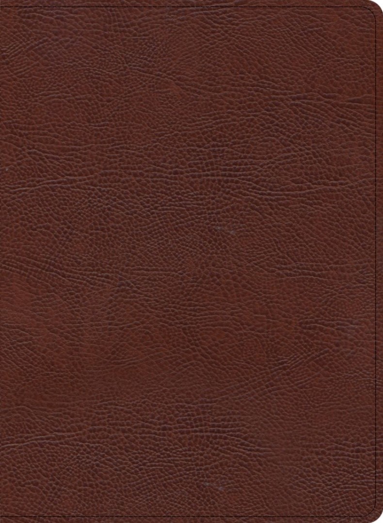 KJV Study Bible, Large Print Edition, Brown Bonded Leather