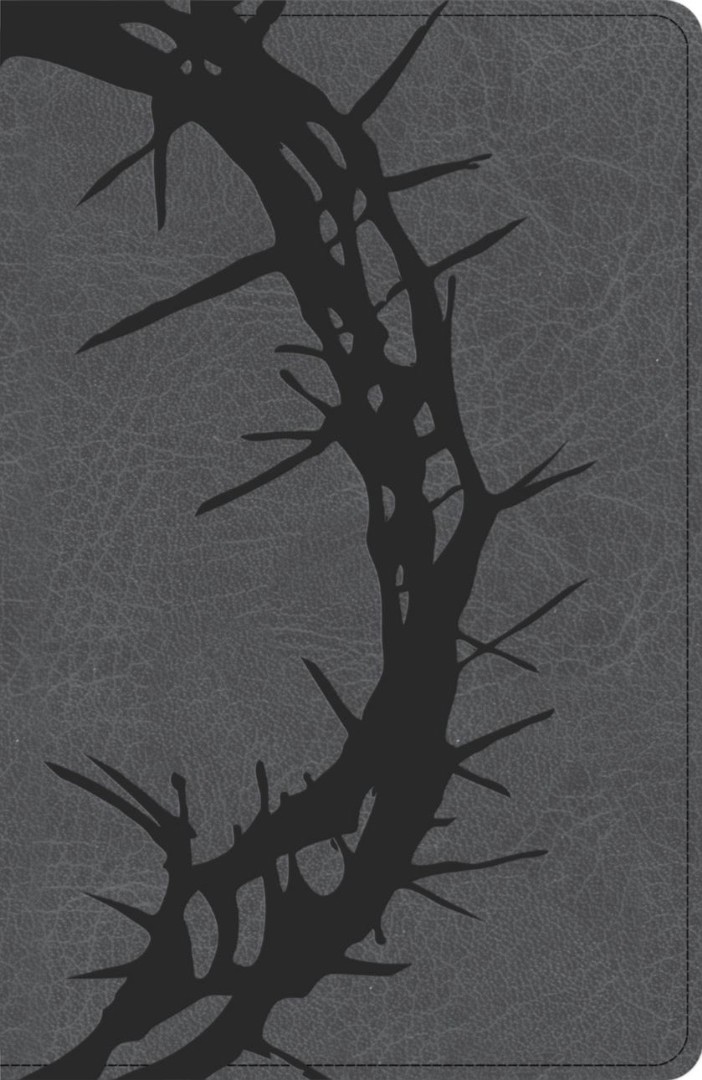 NASB Large Print Personal Size Reference Bible, Charcoal