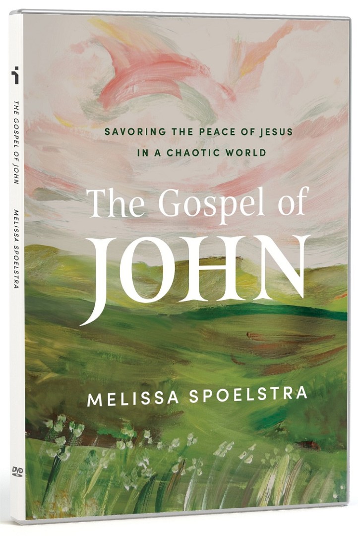 Gospel Of John, The - DVD Set