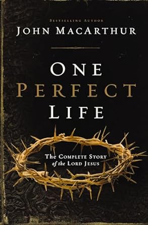 One Perfect Life