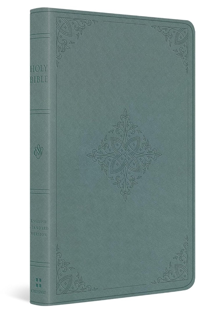 ESV Value Thinline Bible (Trutone, Paris Sky, Fleur-De-Lis)