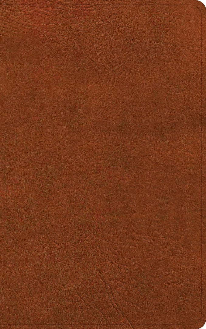 NASB Single-Column Personal Size Bible, Burnt Sienna Leather