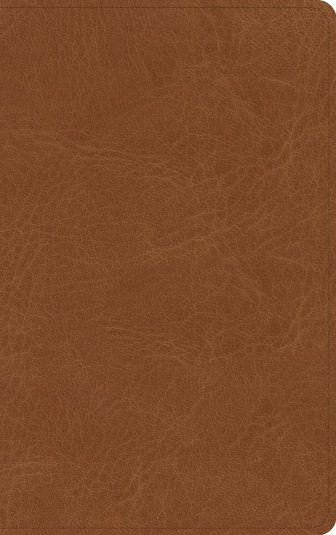 NASB Single-Column Personal Size Bible, Tan Genuine Leather