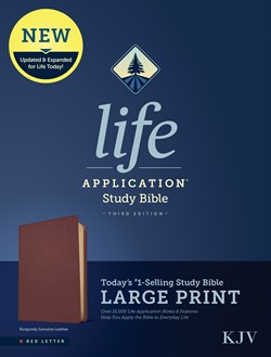 KJV Life Application Study Bible, Third Edition, Large Print