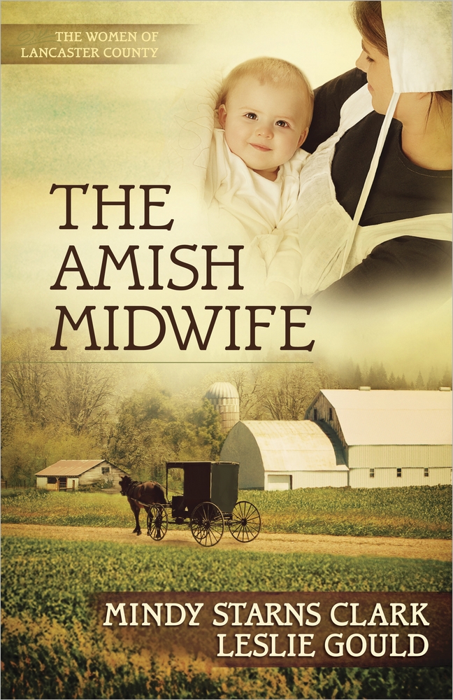 The Amish Midwife