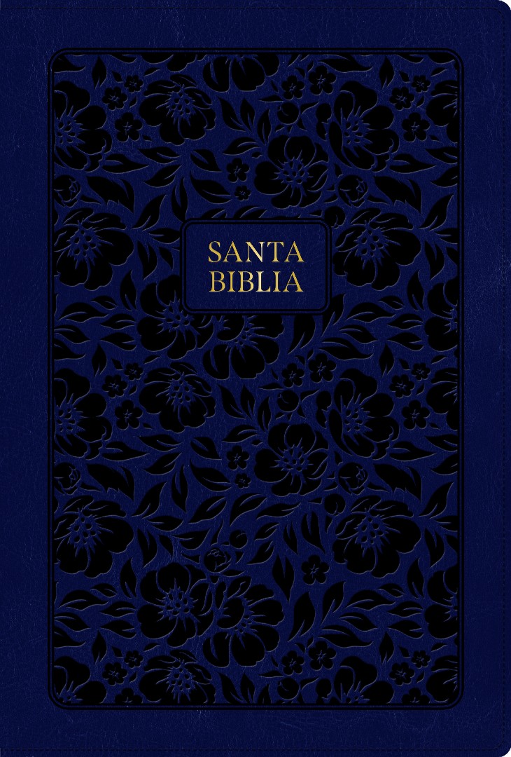 RVR 1960 Biblia Letra Grande Tamaño Manual Edición Especial