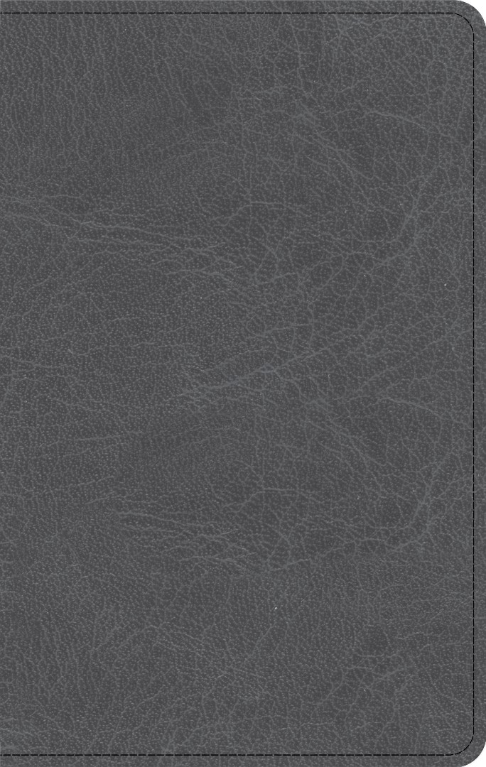 NASB Personal Size Bible, Charcoal