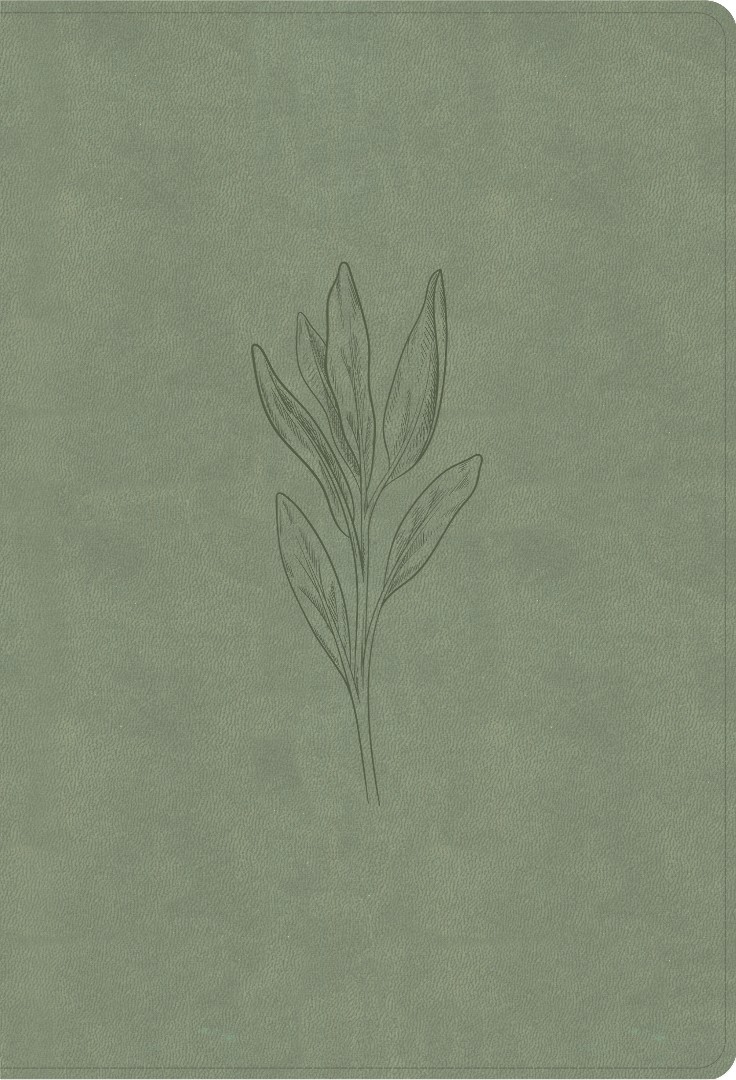 NASB Super Giant Print Reference Bible, Sage Suedesoft