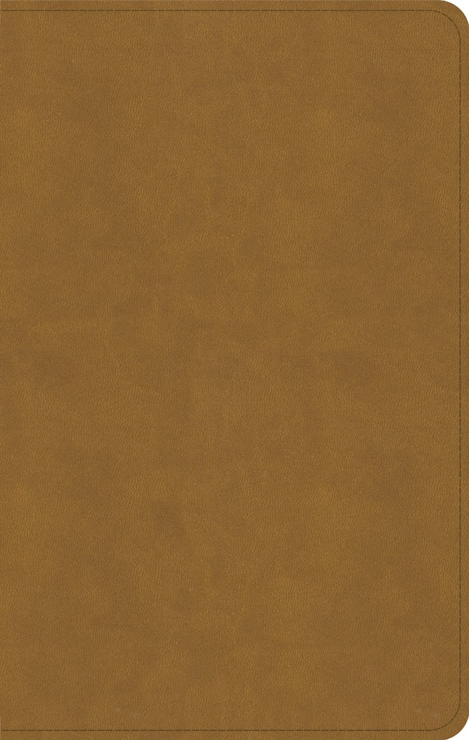 KJV Personal Size Bible, Camel Suedesoft