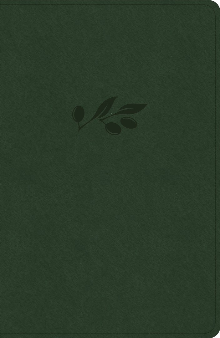 KJV Personal Size Giant Print Bible, Olive Indexed