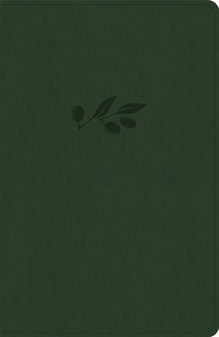 CSB Personal Size Giant Print Bible, Olive