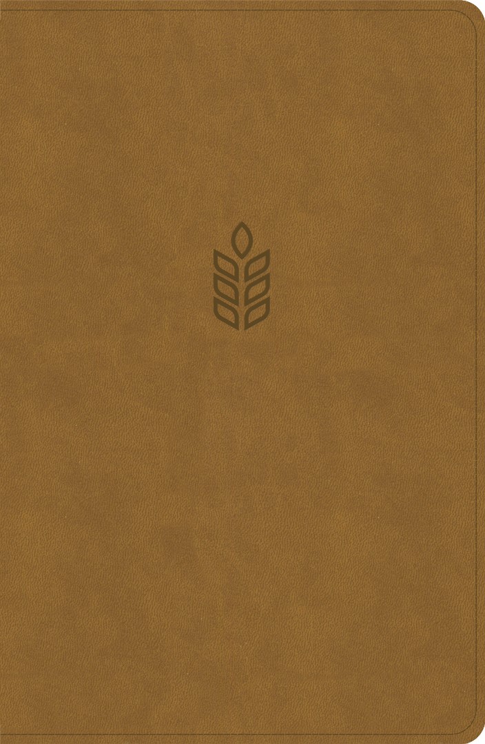 CSB Personal Size Giant Print Bible, Camel Suedesoft