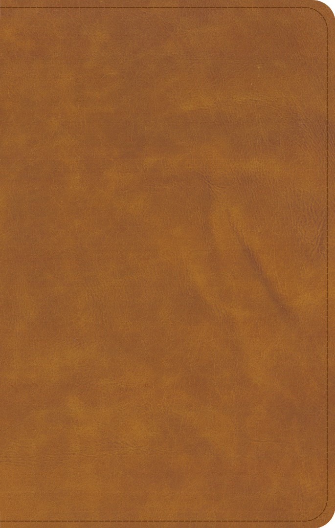 CSB Personal Size Bible, Saddle